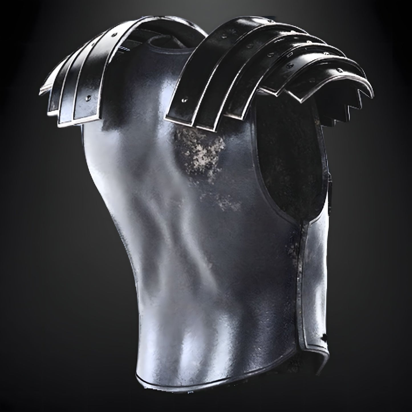 Gladiator: Maximus Decimus Meridius Body Armour - Prop or Cosplay